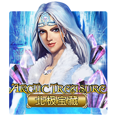 Arctic Treasure