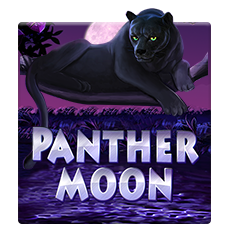 Panther Moon
